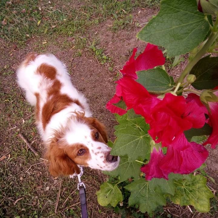 E2c4a950 b49f 4ace 9ed8 3a865b11cd97