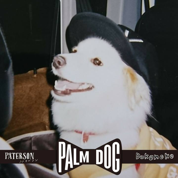 E2c4aaeb d4a8 4f3f 93e3 f18ffa1e2a9b