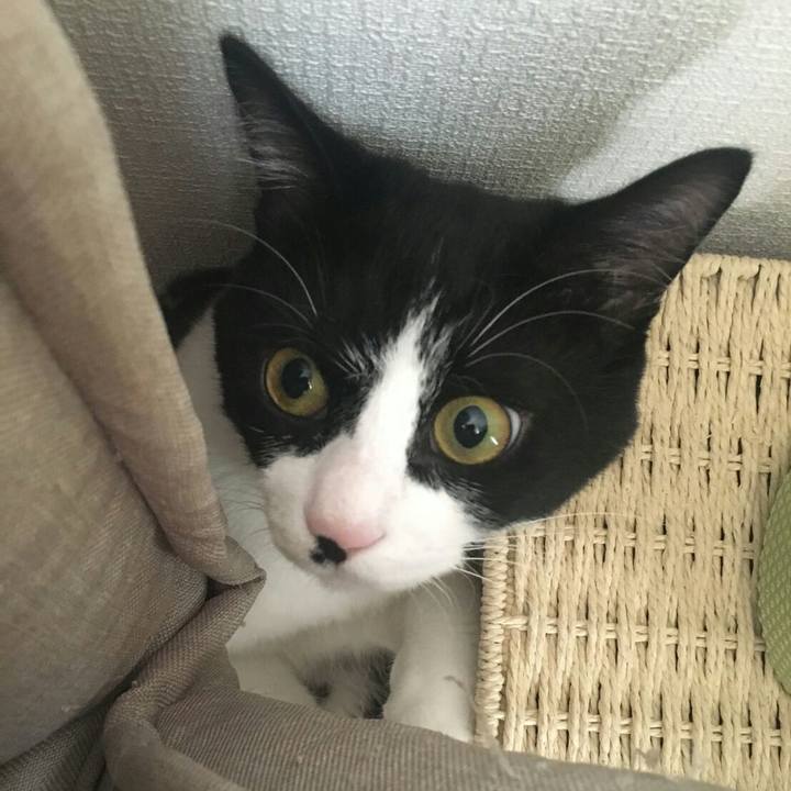 E2c4c2c2 84e4 4ea0 8855 5959f177d014