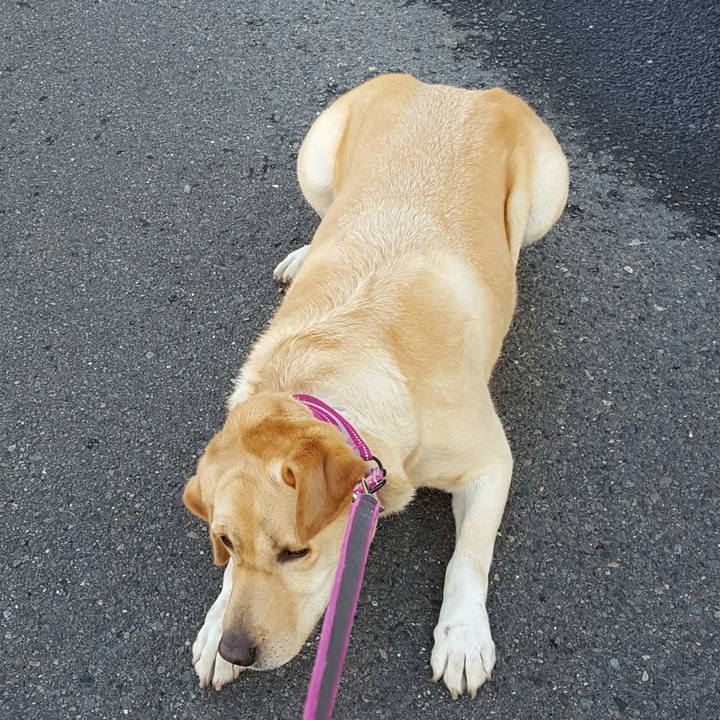 E2c5b886 9538 4ef1 9011 a4c9f8a41d02