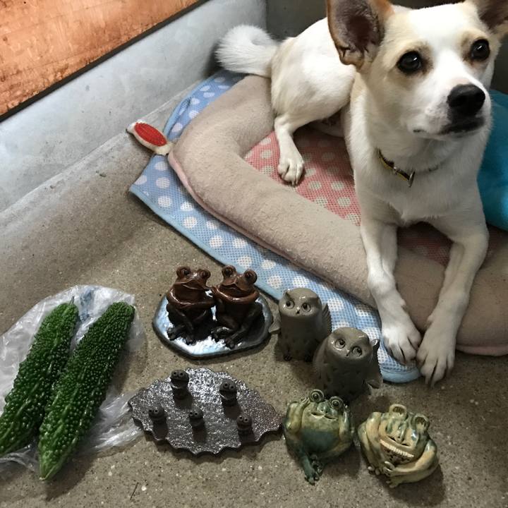 E2c67c71 cf77 4de4 ac0b cb5fd295babd