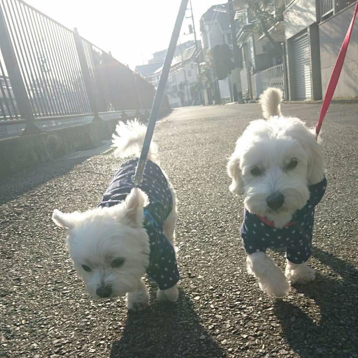 E2c71c5a cbdb 4422 957f 030857c2d43c