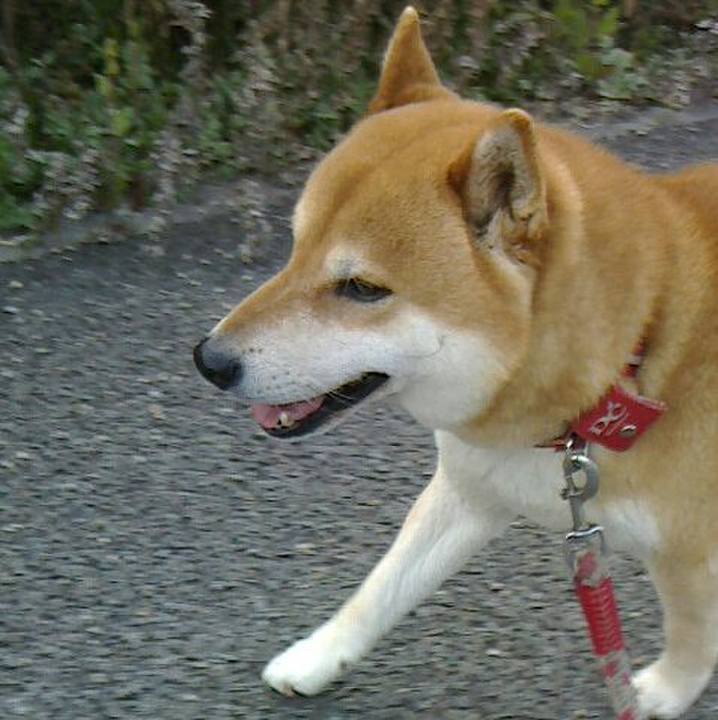 E2c76785 9e75 4341 aa5c 2a9e097a42e4