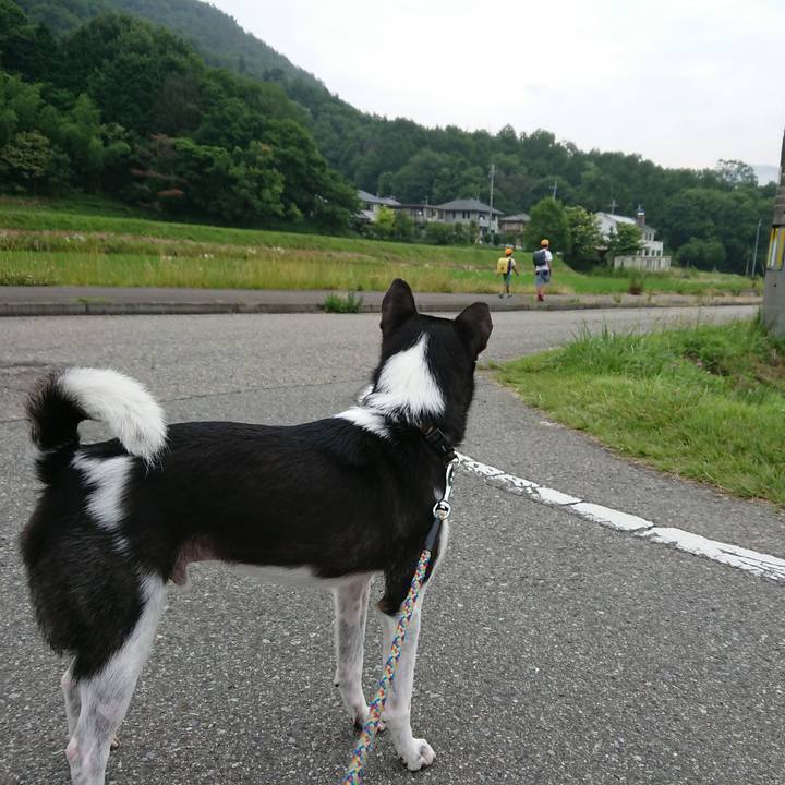 E2c79229 f20c 4799 92e3 e384e8a9d74f