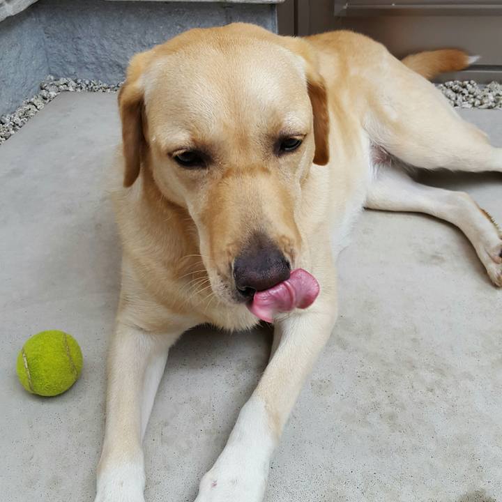 E2c7c39b 8432 428a b3cc 6afaf2bb5f6d