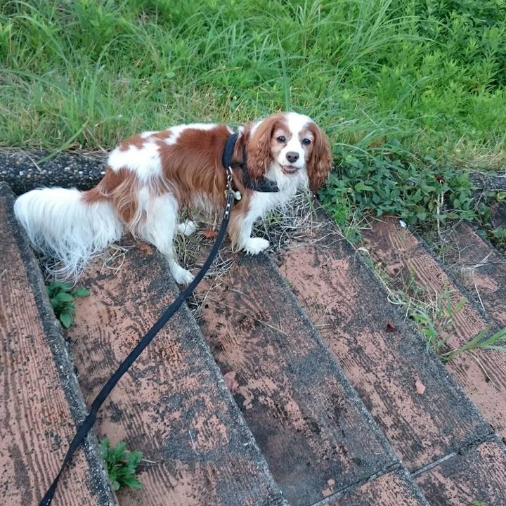 E2c8708a cfe3 44b2 adde 117772115dee