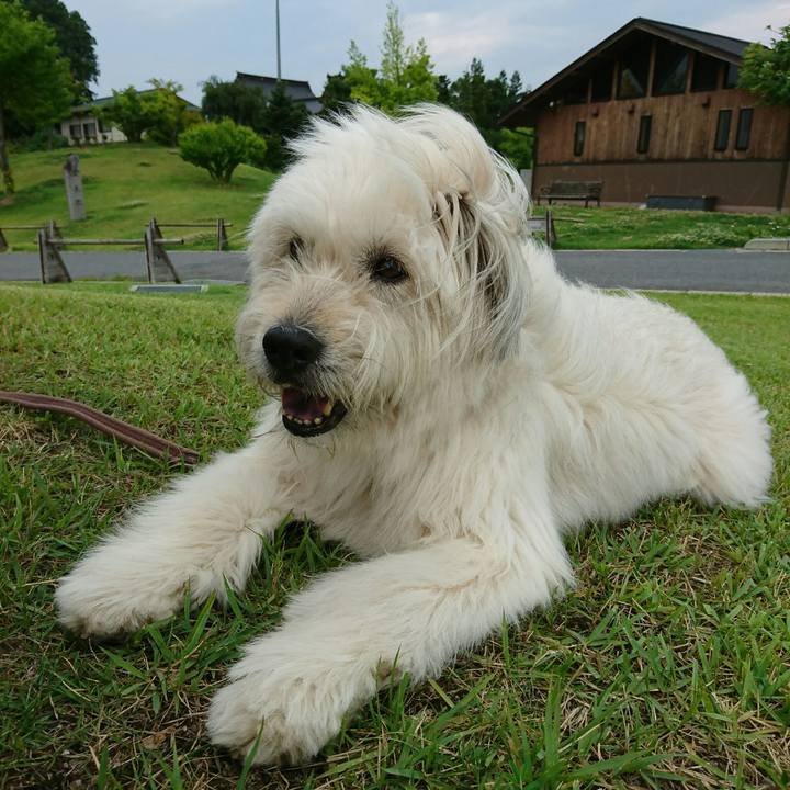 E2c8bf1b 5fd8 4555 a2f9 09d792dfaa11