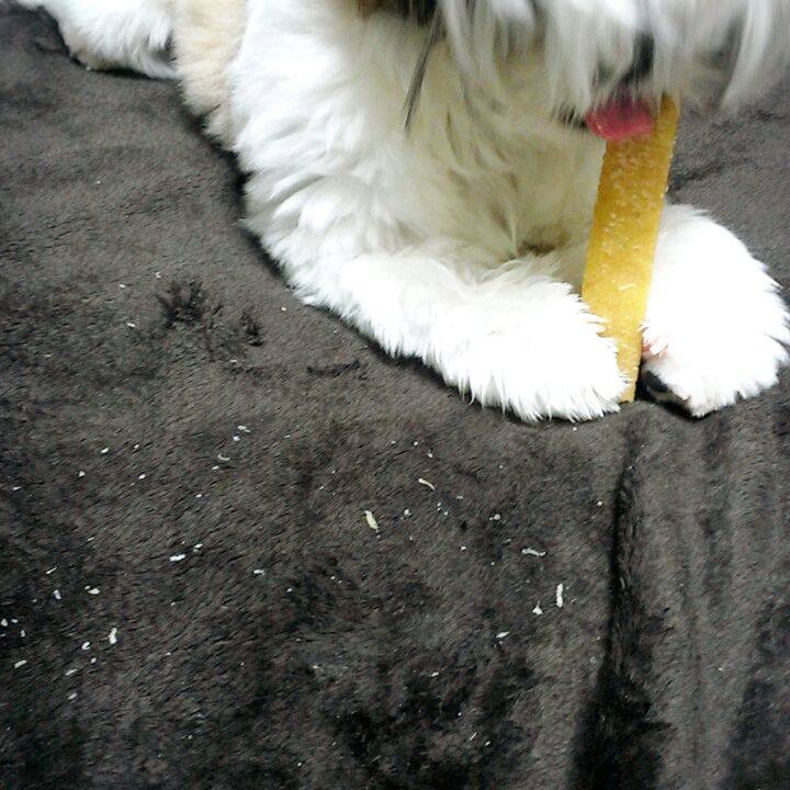 E2ca8b0e fab3 441e b976 1e678a45c224