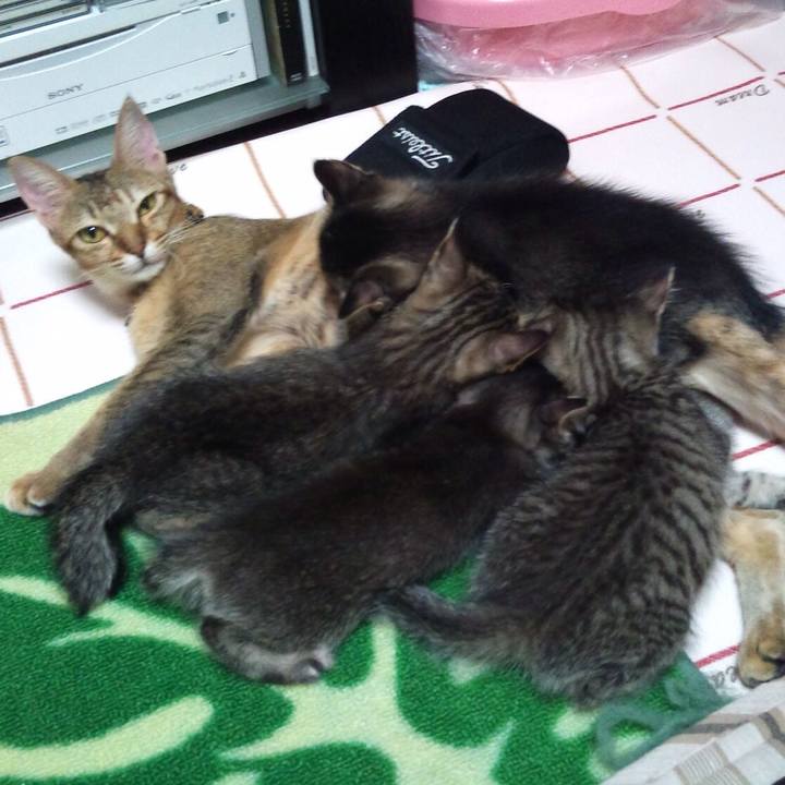 E2cb36d3 c45c 41ff b2bc 06620c9235b3