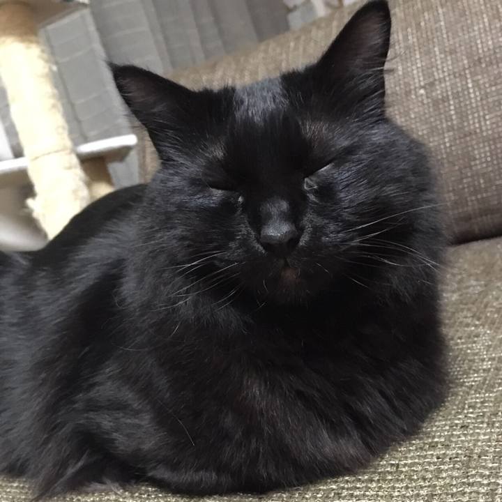 E2cba399 b9ef 42ca 9383 112e3587acd4