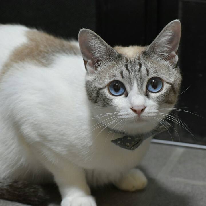 E2cbd900 389b 4180 9a12 ce3e6e3059f5