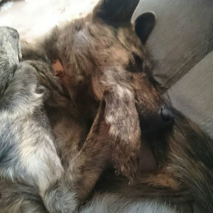 E2cc58ae bf93 43f0 ba86 4e3ab7ffadce