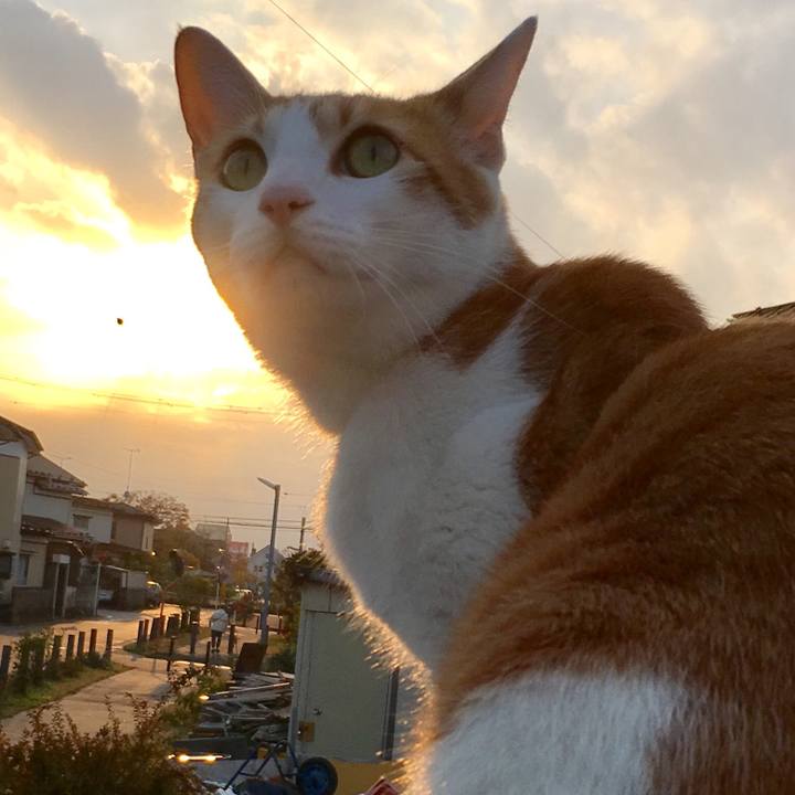 E2cc5c27 eb73 40a1 b68c d108bf5afe25