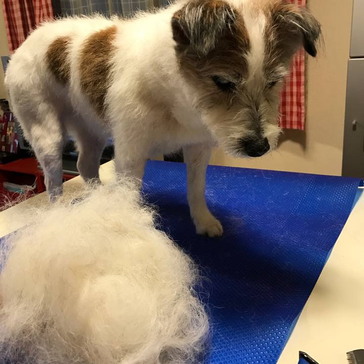 E2ccaabc 8495 4252 a1e4 14d34cd4eab4