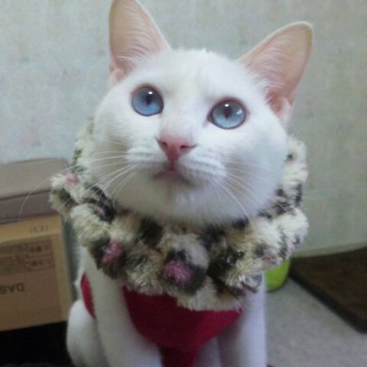 E2cda52b 185c 4c56 952e 7a76c4b82be5