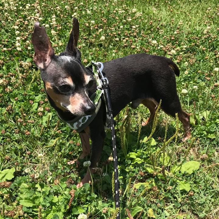 E2cee22b 07d7 44e7 a214 c29c155e9ff4