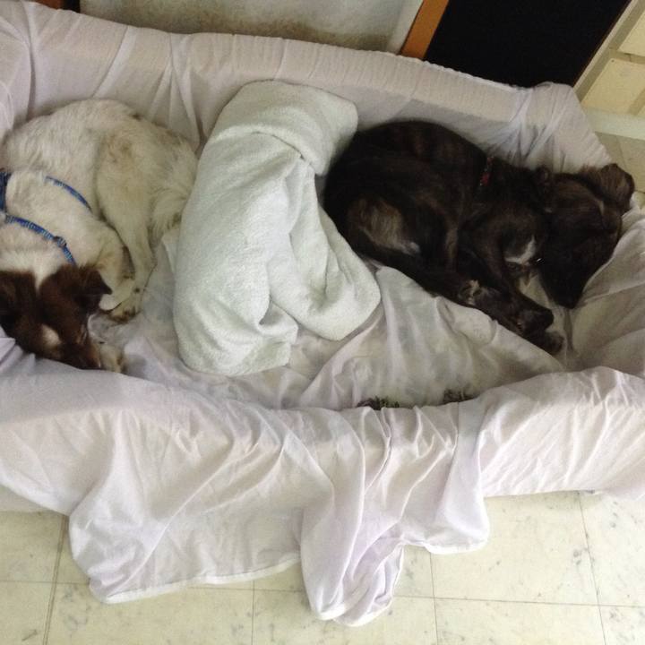 E2cf4827 3371 46da af1f 8b3d63fdee32