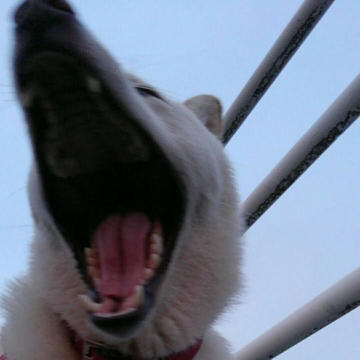 E2d072fe 170b 4bfa ab47 cc3af52fdbdc