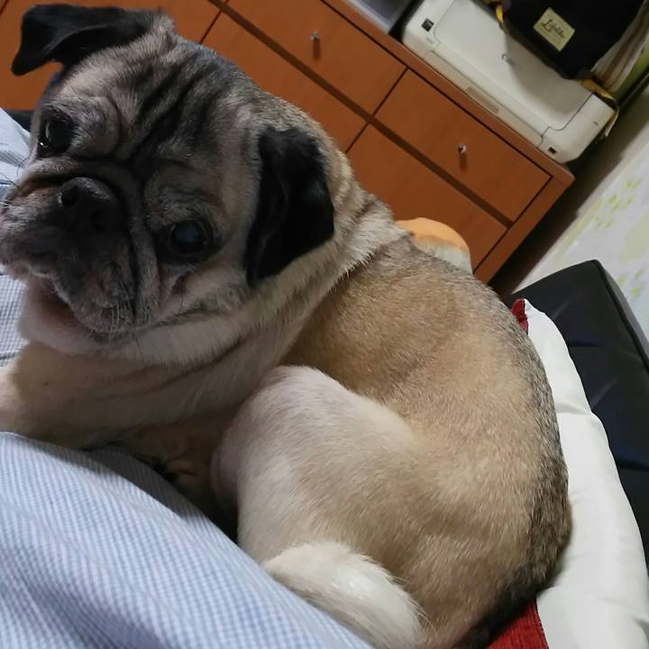 E2d0dd9e cdbc 4d0c 8e33 d29944aba29e