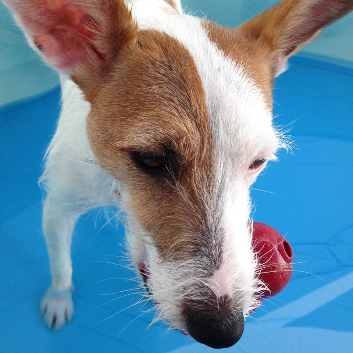 E2d12497 087a 43fd a962 a1468ac02430