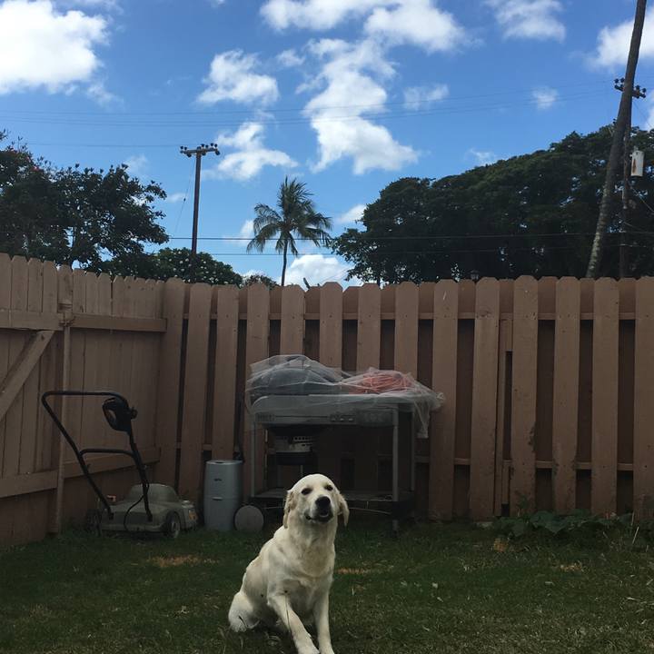 E2d16d45 1dd6 4d75 b70c 0b01efc7e0e3