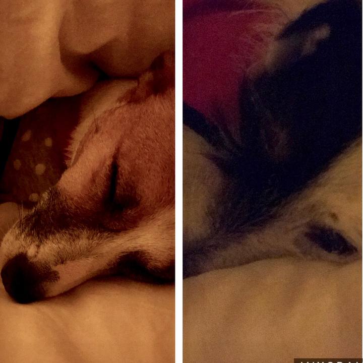 E2d217aa a08a 48d2 bed9 933405cd6018