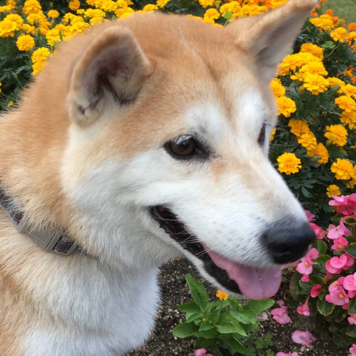 E2d26398 a896 4e99 9c7f 1a9246e2381c