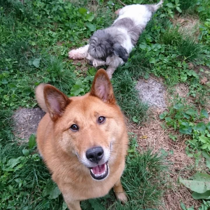 E2d269dc a4dd 480b a2d7 8d6a2390bf72