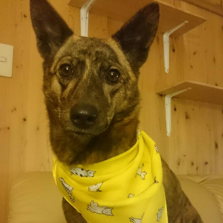 E2d39493 159f 4d08 831c 4b56a2f6862f