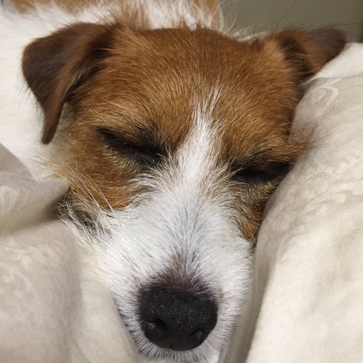 E2d3966a 1968 491a af68 c4c3d36625b7