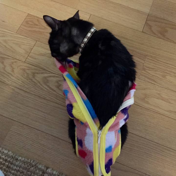 E2d39cf4 cf9b 41b0 9702 51a980237cfe