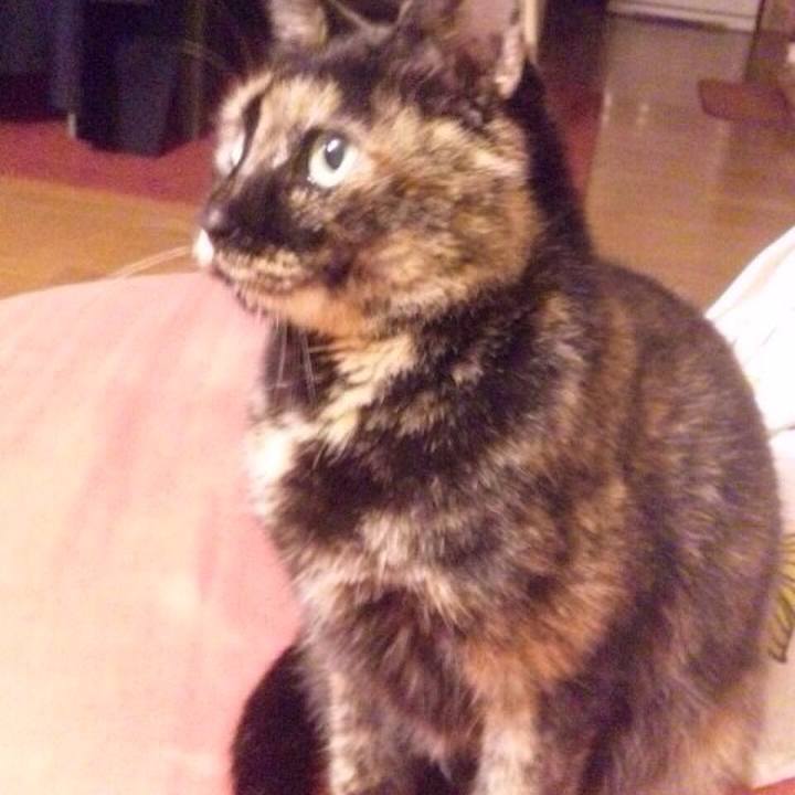 E2d3ed9c a783 4a78 b46c 09bf726babc3