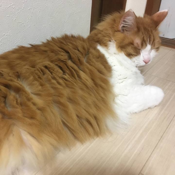 E2d4a68b 035d 45ac 9855 d0ac97231de3