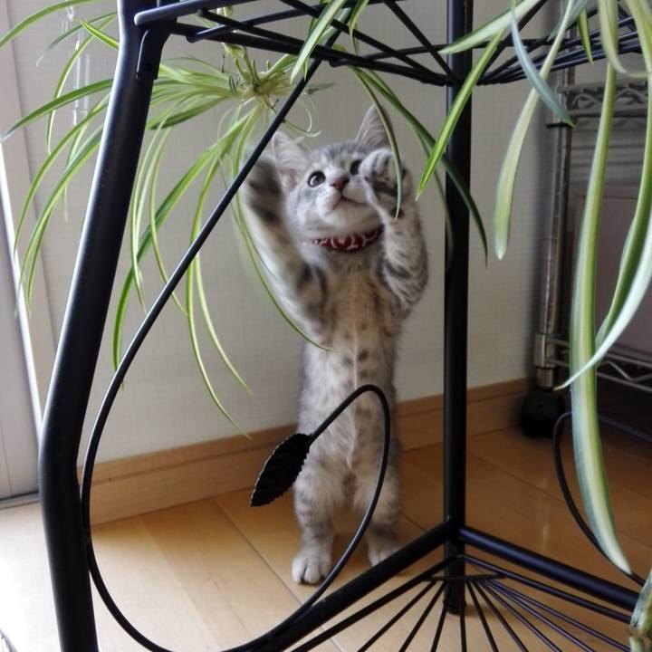 E2d4f89e a80c 4423 9ff1 14cc093aa3d6