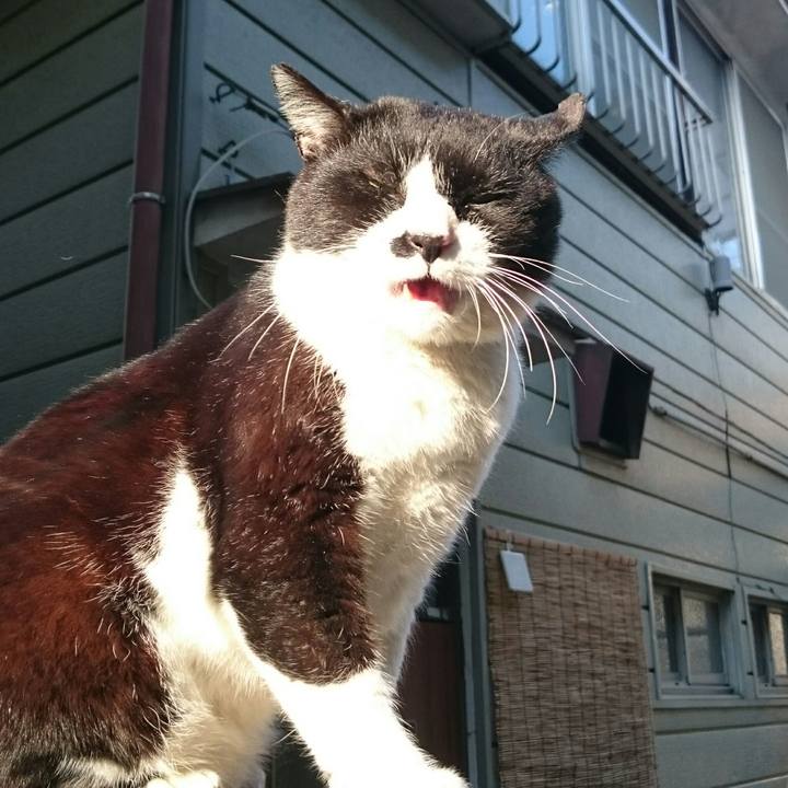 E2d52ae5 6d18 4a65 a3a0 55e46e8bc9a2