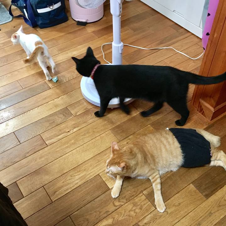 E2d559c7 35a5 4cd4 8d32 3d41328094d6