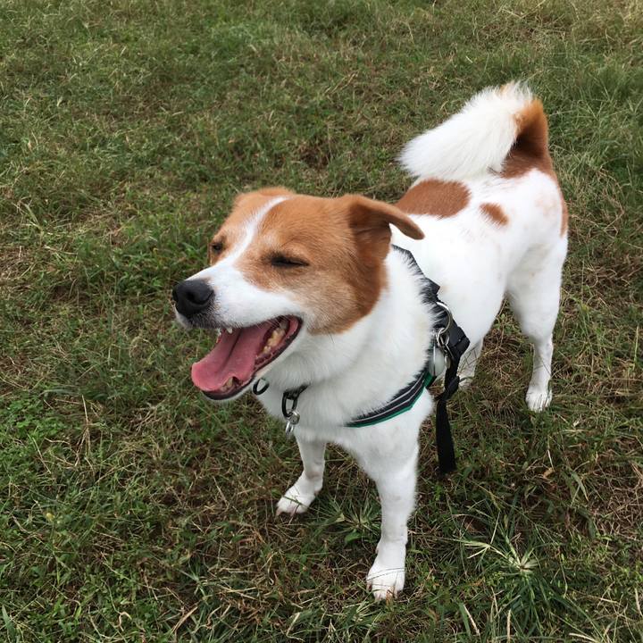 E2d75b1f b322 4006 8e6b ed2030c4cd57