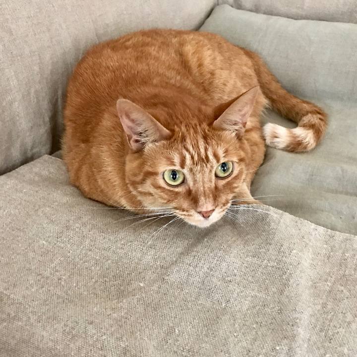 E2d7888a eff7 4235 875a a909e499e1e5