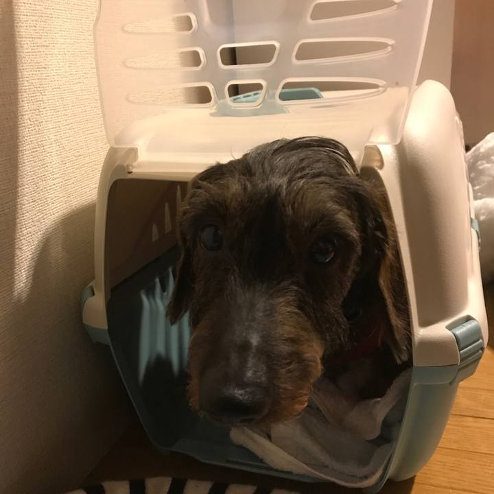 E2d7cb47 9ba9 4f06 9d6b 80ae6e6db1da