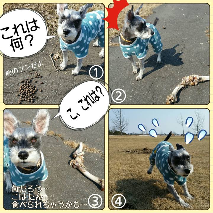 E2d83052 1577 42aa 8fb0 4fb2cbd7eeb2