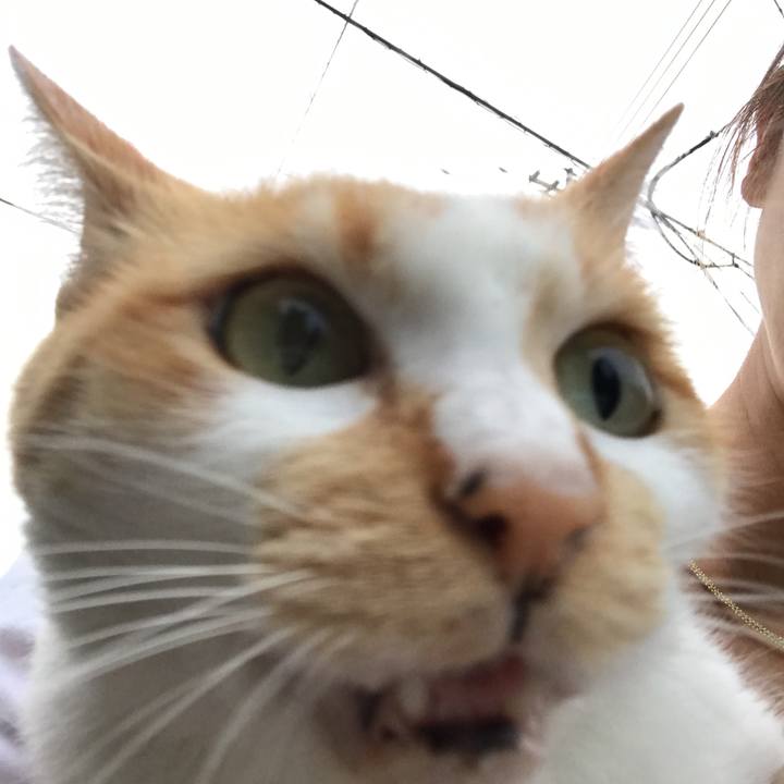 E2d857f6 51ee 43ec abc6 a251caa41919