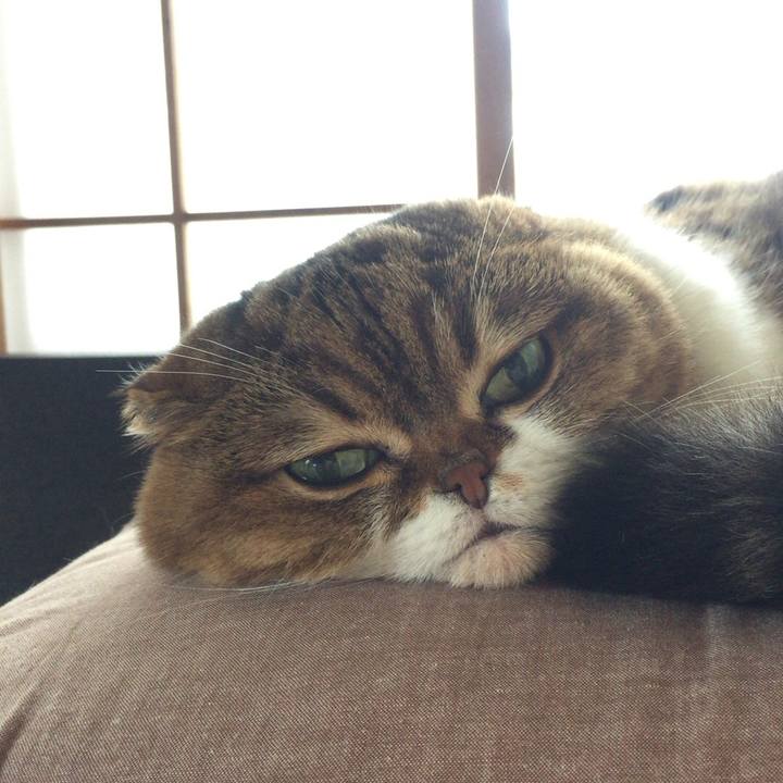 E2d884b2 76c6 476b a28d 231a986f8711