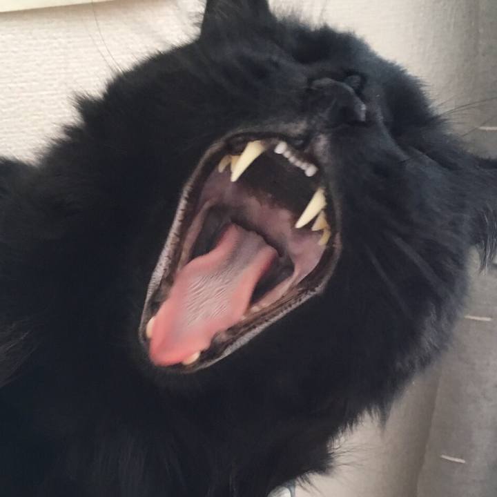 E2d8b2f4 6903 491f 9cf2 4e25587b5f28