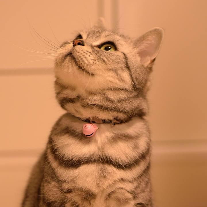 E2d92216 89b6 4029 b67c 8407d6ea103e