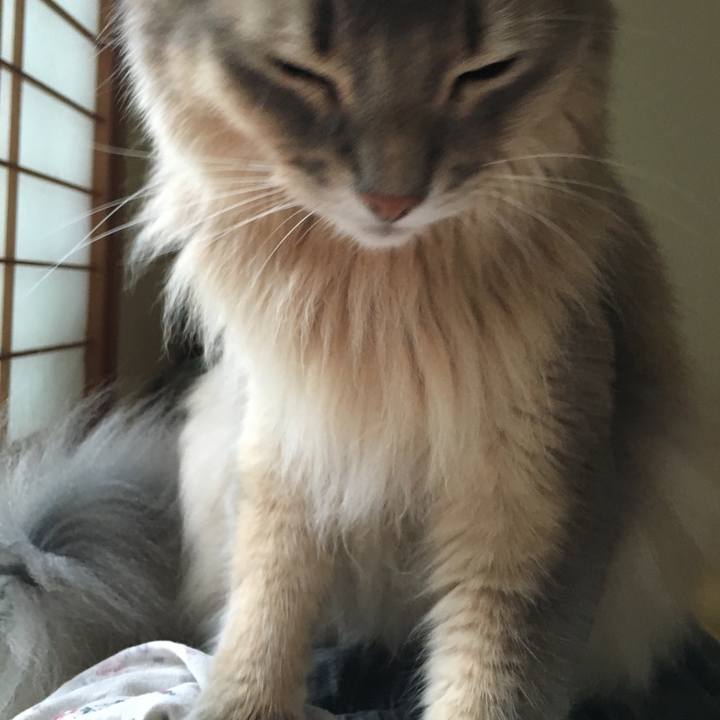 E2d98517 73bb 485b 9d96 1305610f0ebc