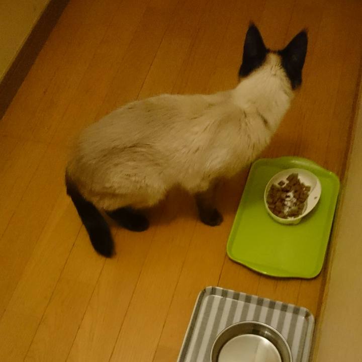 E2d9b74f 2747 43a6 9323 f2c3690431da