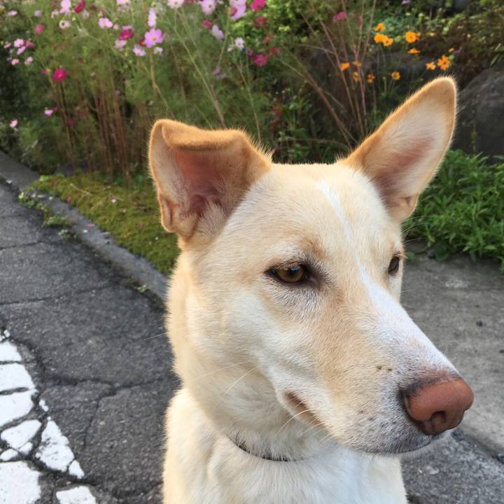 E2d9d244 dcf6 46c9 9f5c 7e9e571fb232