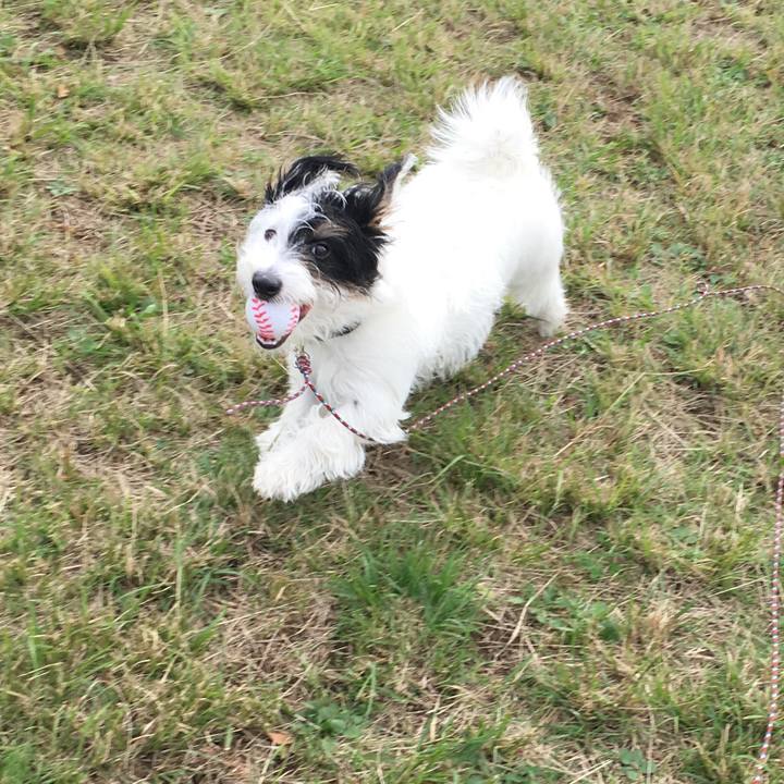 E2dab7fe 6e35 4ab0 b617 9e69ebbf0814