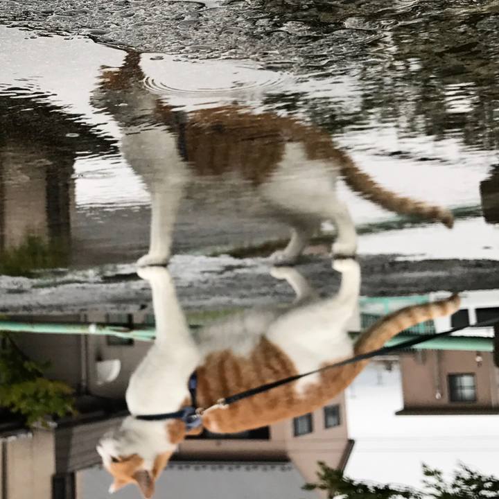 E2daf089 61d2 43b4 ab2d e4372236f0f3