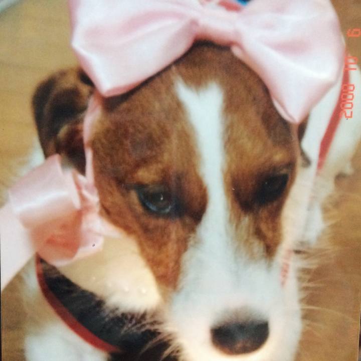 E2db8323 704e 4b2d a2dd 36dda0b3d56d